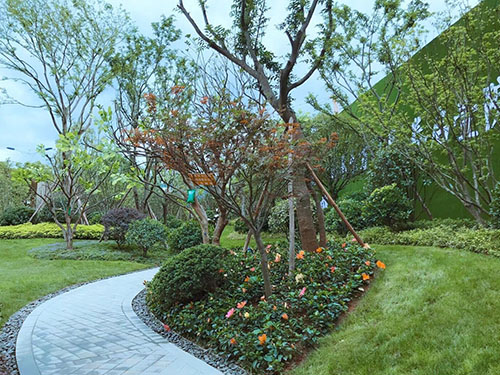 園林景觀設(shè)計